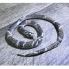 Искусственная змея для розыгрышей длиной 63 см — идеальный аксессуар для шуток и вечеринок, изображение 2