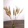Букет сухоцветов: Пампасная трава и тростник, 11 шт., 120 см — Элегантное украшение для дома, изображение 2 Букет сухоцветов: Пампасная трава и тростник, 11 шт., 120 см — Элегантное украшение для дома, изображение 2