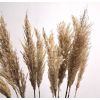 Букет сухоцветов: Пампасная трава и тростник, 11 шт., 120 см — Элегантное украшение для дома, изображение 4 Букет сухоцветов: Пампасная трава и тростник, 11 шт., 120 см — Элегантное украшение для дома, изображение 4