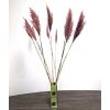 Букет сухоцветов: Пампасная трава в красном цвете, 11 шт., 120 см — Элегантное украшение для дома, изображение 3