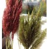 Букет сухоцветов: Пампасная трава в красном цвете, 11 шт., 120 см — Элегантное украшение для дома, изображение 5