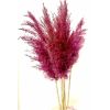 Букет сухоцветов: Пампасная трава в красном цвете, 11 шт., 120 см — Элегантное украшение для дома