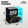 Набор для опытов «Живой магнит» — познавательная игра с реагентами, изображение 3