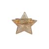 Значок «Звезда» сувенирный, изображение 2