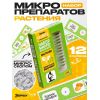 Набор микропрепаратов «Растения» для увлекательных ботанических исследований под микроскопом!, изображение 3 Набор микропрепаратов «Растения» для увлекательных ботанических исследований под микроскопом!, изображение 3