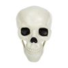 Бутафорский череп для Хэллоуина — создайте устрашающую атмосферу вашего праздника!, изображение 2