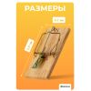 Мышеловки 9x5 см – надежное решение для борьбы с грызунами!, изображение 3