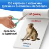 Подарочный развивающий набор на казахском языке, 12 шт. + светящийся тактильный мячик, изображение 6
