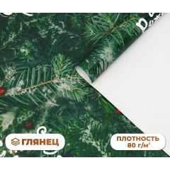 Бумага упаковочная новогодняя глянцевая "Еловые ветки", 50 х 70 см.