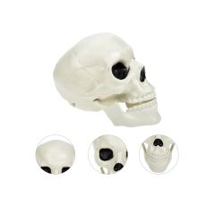 Декор на Хэллоуин Череп