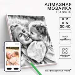 Алмазная мозаика по фото, на раме 30×40, полное заполнение, Gray