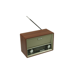 Радиоприемник портативный Ritmix RPR-102