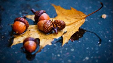 Осень, обогреватели