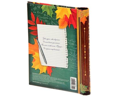 Фотоальбом «Школьные годы» – сохраните воспоминания о школьных годах, изображение 3