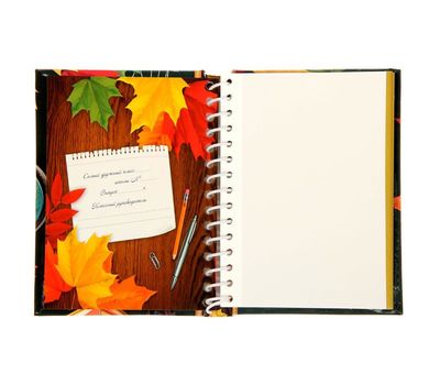 Фотоальбом «Школьные годы» – сохраните воспоминания о школьных годах, изображение 4