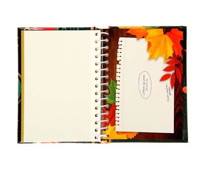 Фотоальбом «Школьные годы» – сохраните воспоминания о школьных годах, изображение 5