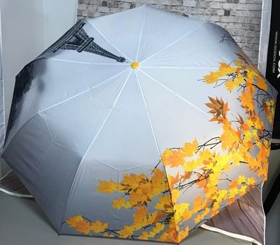 Зонт полуавтомат «Париж»