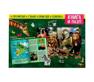 Обучающий набор «Животные нашей планеты» – увлекательное путешествие в мир животных для вашего ребенка, изображение 2