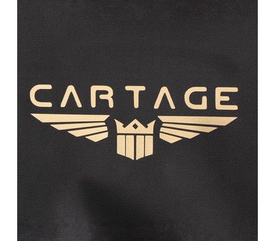 Термосумка Т-14 10 литров: надежное сохранение свежести продуктов в дороге., изображение 7