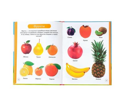 Первая энциклопедия малыша — яркое и познавательное приключение для вашего ребенка!, изображение 4