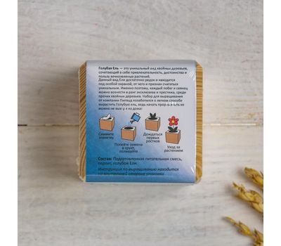 Набор для выращивания «Ель голубая»: уникальная красота прямо у вас дома, изображение 2