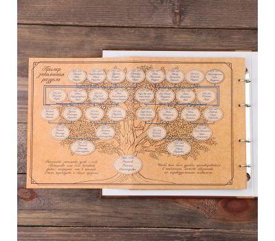 Создайте свою фамильную летопись с родословной книгой, изображение 11