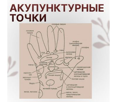 Набор массажёров «Су-джок», d = 3,5 см, 2 кольца, цвет МИКС – Ваш ключ к релаксации и здоровью, изображение 6
