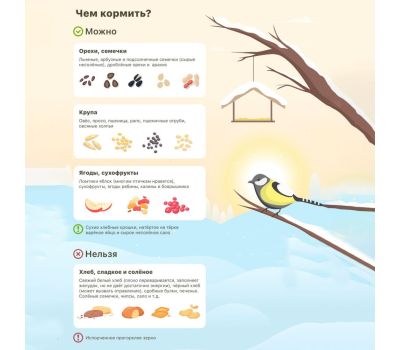 Уютный скворечник Greengo: пригласите красоту природы в ваш сад!, изображение 12