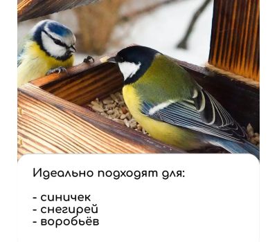 Уютный скворечник Greengo: пригласите красоту природы в ваш сад!, изображение 9