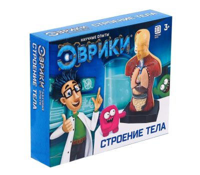 Научный опыт «Строение тела» - познавательное изучение анатомии для детей, изображение 9