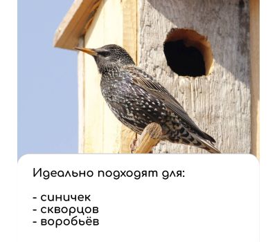 Уютный скворечник Greengo: пригласите красоту природы в ваш сад!, изображение 10