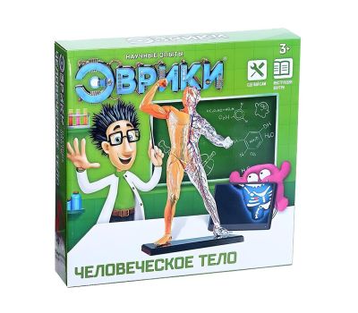 Научный опыт «Человеческое тело» - увлекательное изучение анатомии для детей, изображение 4 Научный опыт «Человеческое тело» - увлекательное изучение анатомии для детей, изображение 4