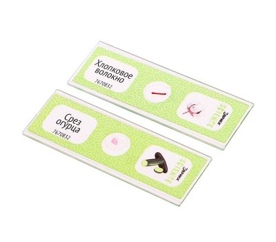 Набор микропрепаратов «Растения» для увлекательных ботанических исследований под микроскопом!, изображение 4 Набор микропрепаратов «Растения» для увлекательных ботанических исследований под микроскопом!, изображение 4