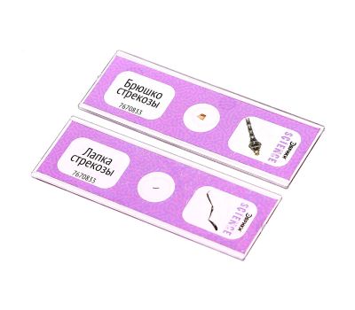 Набор микропрепаратов «Насекомые» для увлекательных энтомологических исследований под микроскопом!, изображение 4