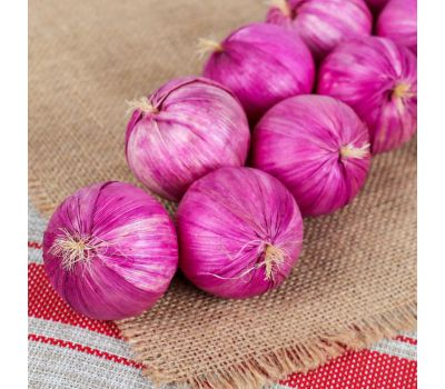 Муляж «Лук» для декора, изображение 2