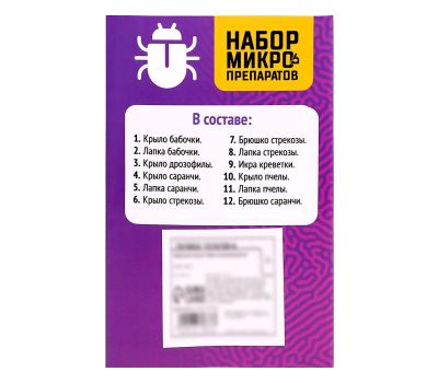 Набор микропрепаратов «Насекомые» для увлекательных энтомологических исследований под микроскопом!, изображение 7