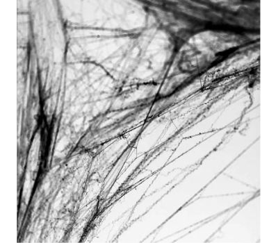 Искусственная паутина для Хэллоуина — создайте мистическую атмосферу!, изображение 2