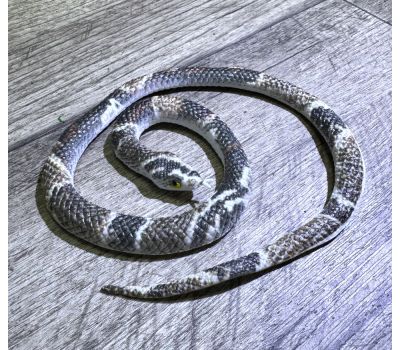 Искусственная змея для розыгрышей длиной 63 см — идеальный аксессуар для шуток и вечеринок, изображение 2