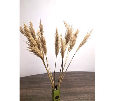 Букет сухоцветов: Пампасная трава и тростник, 11 шт., 120 см — Элегантное украшение для дома, изображение 2 Букет сухоцветов: Пампасная трава и тростник, 11 шт., 120 см — Элегантное украшение для дома, изображение 2