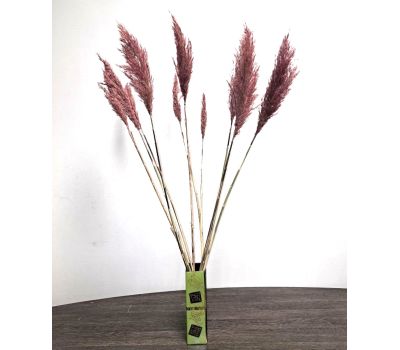 Букет сухоцветов: Пампасная трава в красном цвете, 11 шт., 120 см — Элегантное украшение для дома, изображение 3