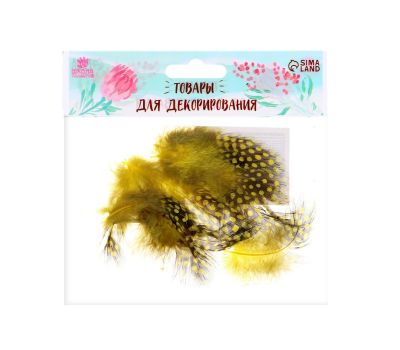 Набор декоративных перьев жёлто-коричневого цвета — 10 натуральных штук для творчества и декора, изображение 2