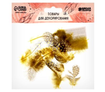 Набор декоративных перьев жёлто-коричневого цвета — 10 натуральных штук для творчества и декора, изображение 3