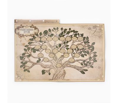Родословная книга «Наш род» с пером — сохраните историю своей семьи, изображение 17