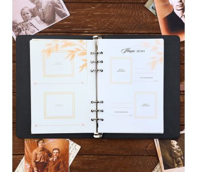 Родословная книга «Наше фамильное дерево» с флешкой 16 Гб — семейная летопись в современном формате, изображение 13