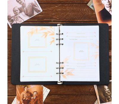 Родословная книга «Наше фамильное дерево» с флешкой 16 Гб — семейная летопись в современном формате, изображение 14