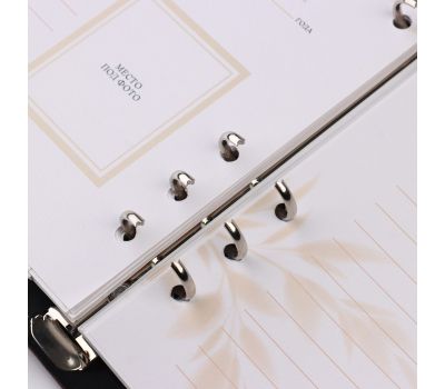 Родословная книга «Наше фамильное дерево» с флешкой 16 Гб — семейная летопись в современном формате, изображение 8