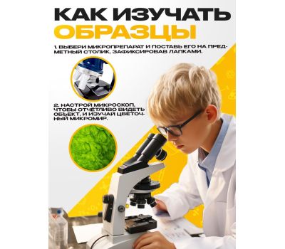 Набор микропрепаратов «Растения» для увлекательных ботанических исследований под микроскопом!, изображение 2 Набор микропрепаратов «Растения» для увлекательных ботанических исследований под микроскопом!, изображение 2