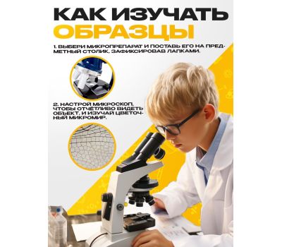 Набор микропрепаратов «Насекомые» для увлекательных энтомологических исследований под микроскопом!, изображение 3
