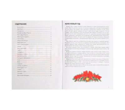 Настольная игра Мемо «Новый год» с подвесом на ёлку, изображение 5