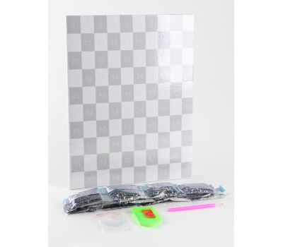 Алмазная мозаика по фото, на раме 30×40, полное заполнение, изображение 2